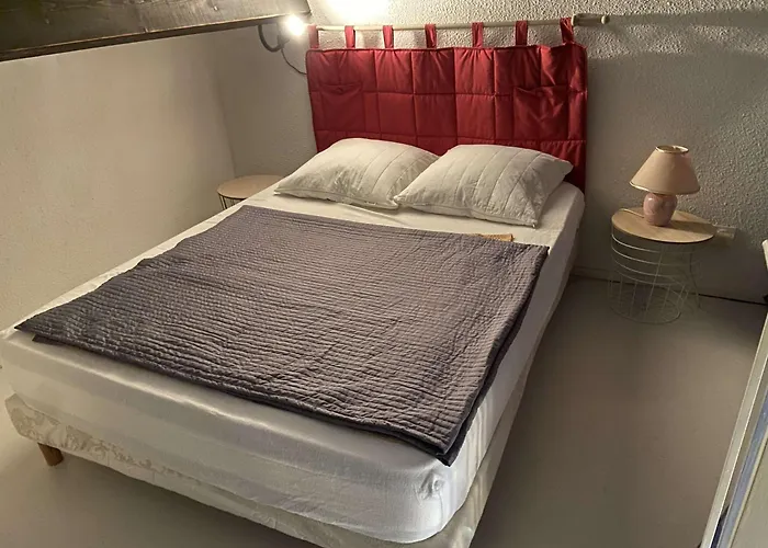 Villa 6 Pers, Clim, Au Calme Avec Piscine Et Parking - Fr-1-607-125